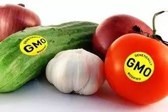 转基因食品到底能不能吃 这回终于弄清楚了