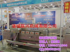 食品厂 豌豆油炸设备图片 诸城联兴机械 陕西豌豆油炸设备