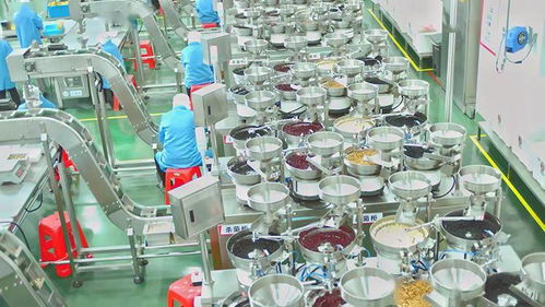 坚持绿色引领,洽洽食品获评 国家级绿色工厂