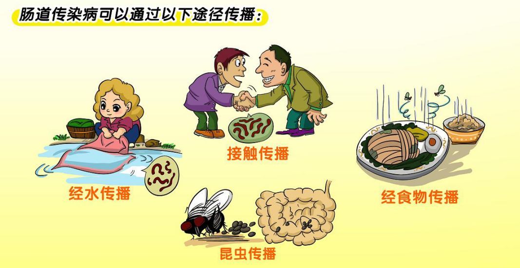 节日饮食卫生 预防肠道传染病的关键