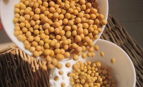2018年粮食价格涨跌剧烈，2019年食品市场走向何方？